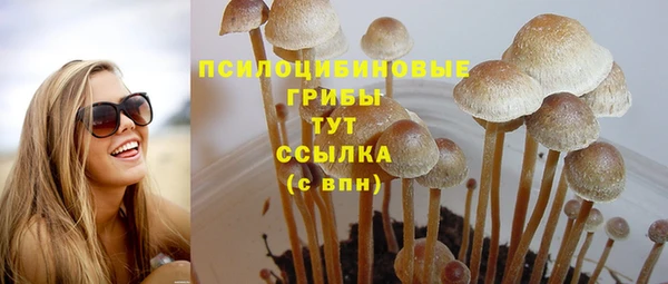 спайс Армянск