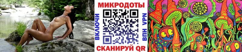 Псилоцибиновые грибы Cubensis  Купить закладки  Кулебаки 